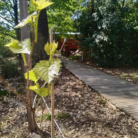 Les Roulottes Vesta בית נופש Léognan