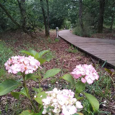 Les Roulottes Vesta Semesterbostad *