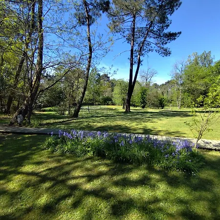 Les Roulottes Vesta 度假居 Léognan