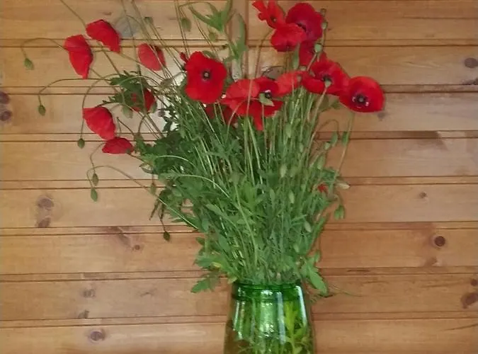 Prázdninový dům Les Roulottes Vesta *