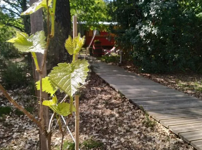 Les Roulottes Vesta Ferienhaus Léognan