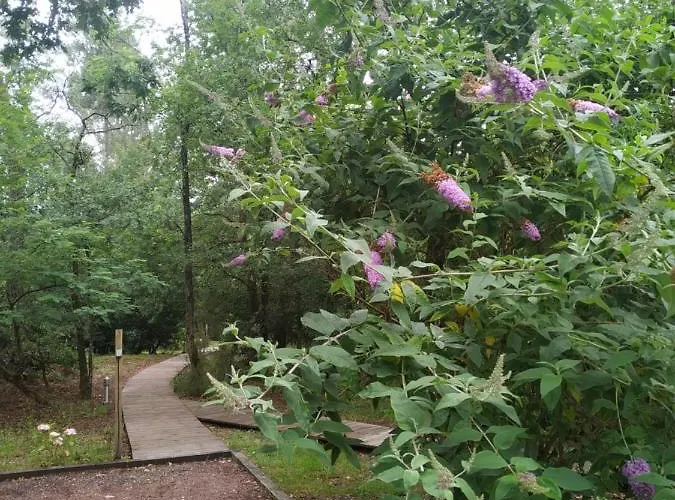 Les Roulottes Vesta Ferienhaus *