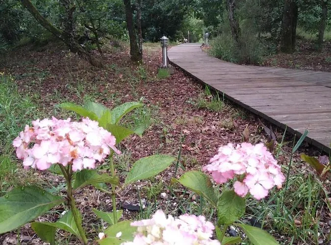 Les Roulottes Vesta Ferienhaus *