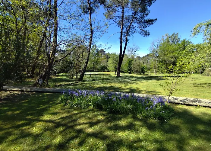 Les Roulottes Vesta Vakantiehuis Léognan
